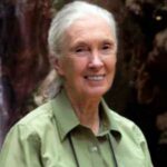 Dr. Jane Goodall, DBE